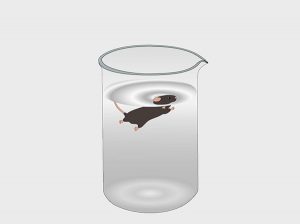 Giá trị của miền tin tích cực